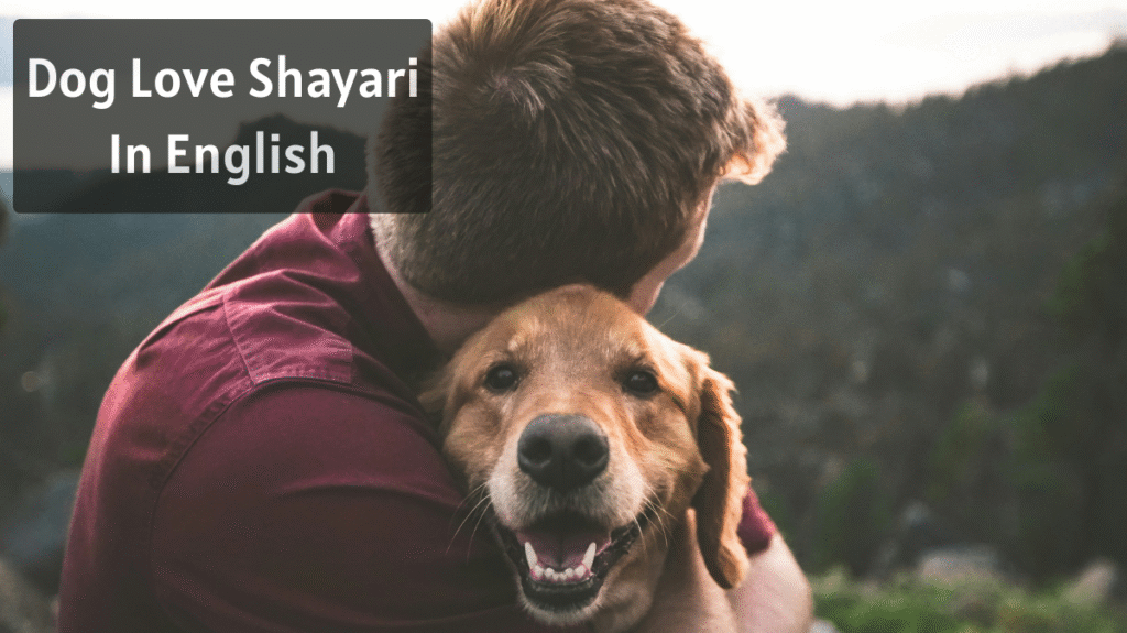 Dog Love Shayari In English