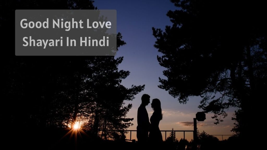 Good Night Love Shayari In Hindi