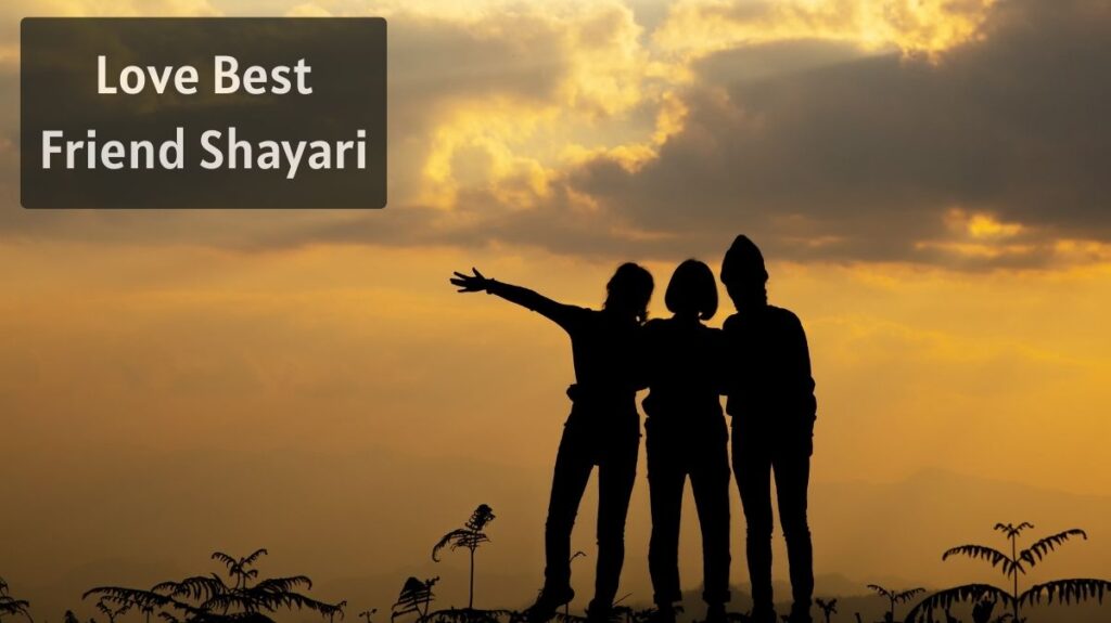 Love Best Friend Shayari