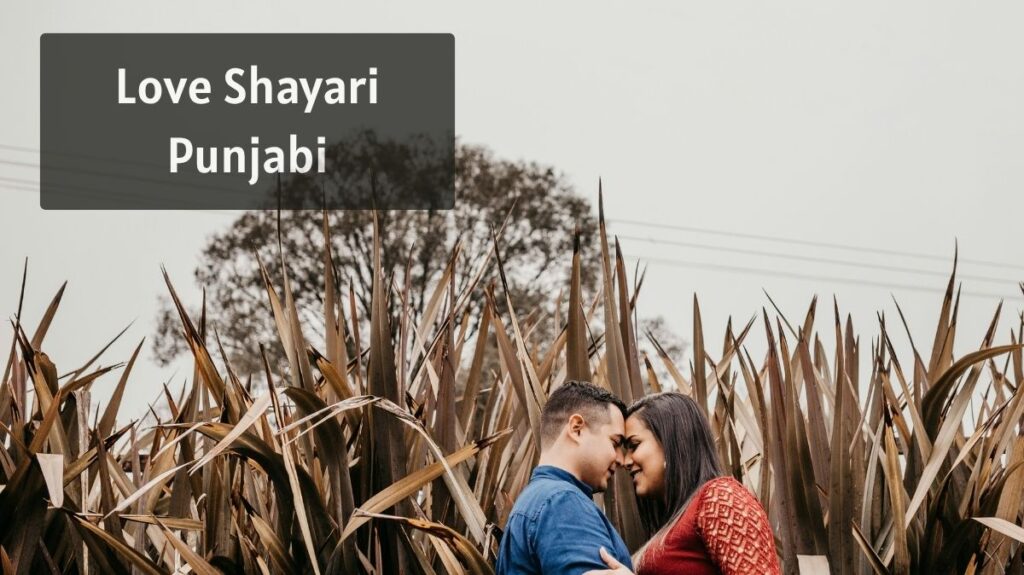 Love Shayari Punjabi
