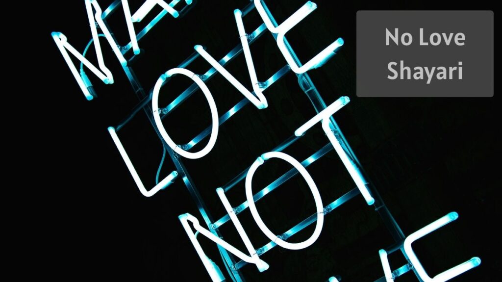No Love Shayari