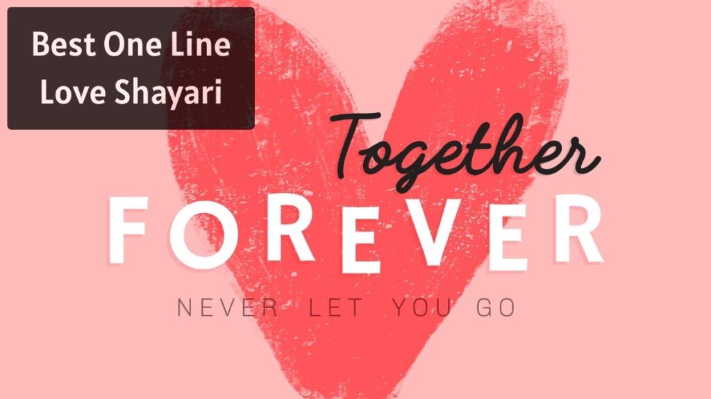 Best One Line Love Shayari