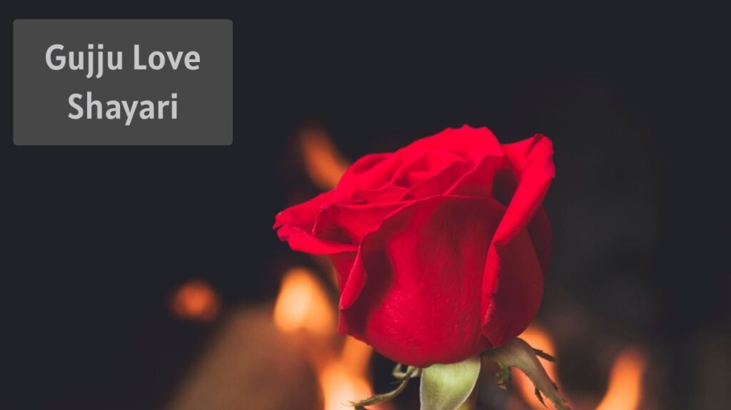 Gujju-Love-Shayari.jpg