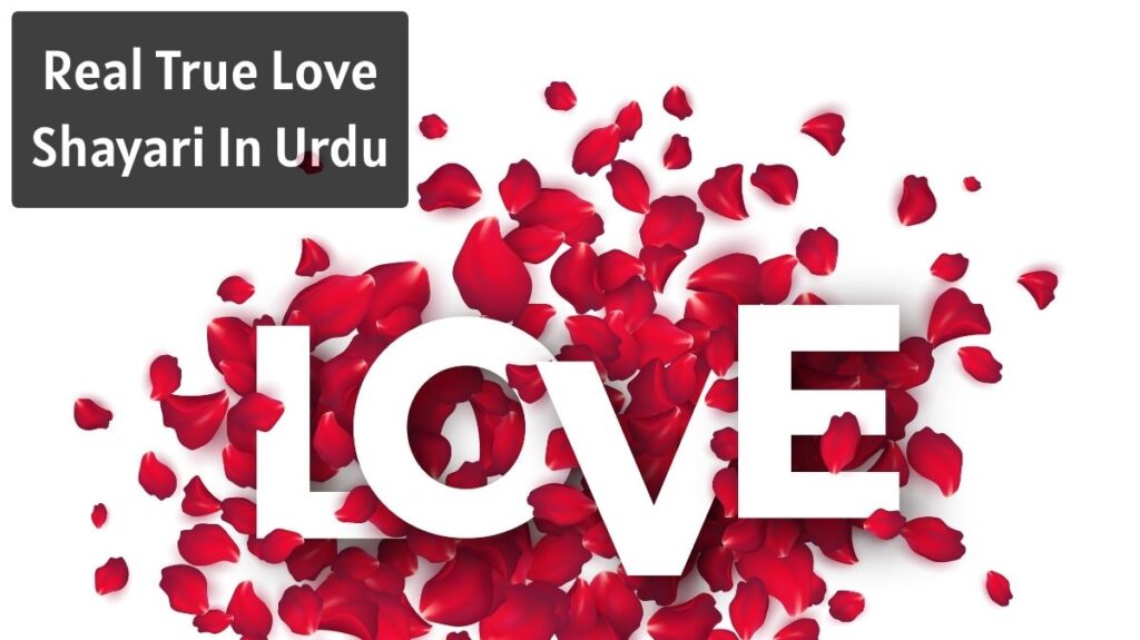 Real True Love Shayari In Urdu
